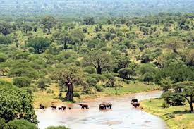 Tarangire National Park